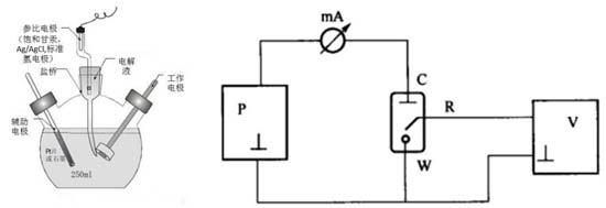  圖1 三電極體系結(jié)構(gòu)圖及電路圖